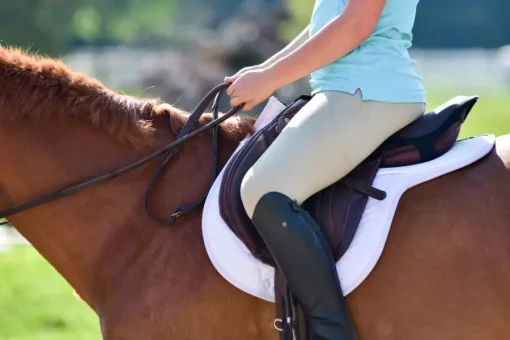 ThinLine Dressage Fitted Cotton Quilted Saddle Pad - Image 3