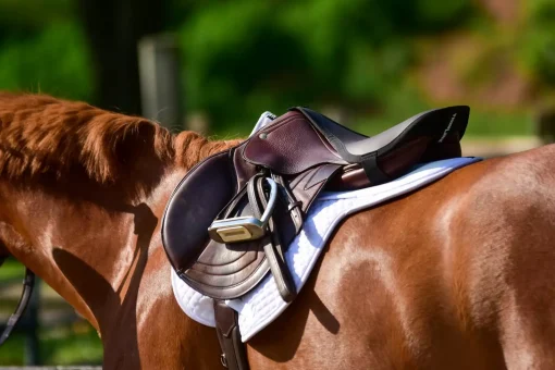 ThinLine Dressage Fitted Cotton Quilted Saddle Pad - Image 2