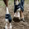 Flexible Filly Ankle Boot