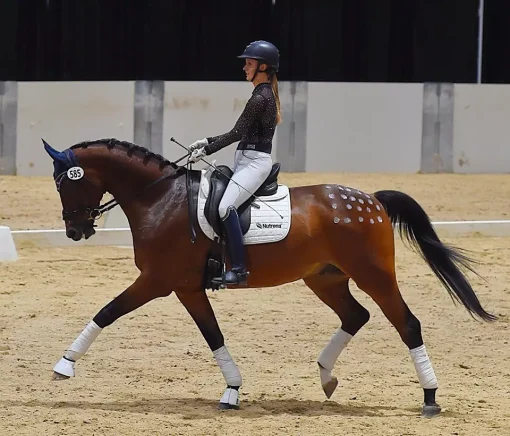 Cotton Trifecta Half Pad - Image 5