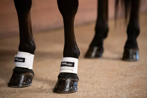 ThinLine Pastern Wraps - Image 2
