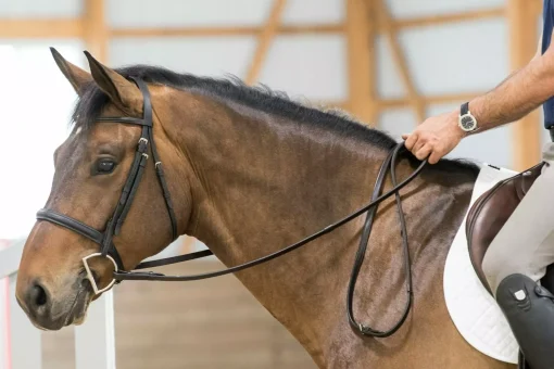 ThinLine English Lined Reins 60" - Image 5