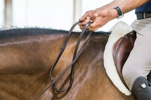 ThinLine English Lined Reins 60" - Image 6
