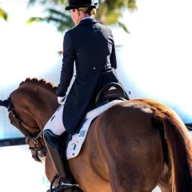 English Saddle Pads