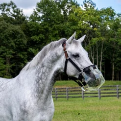 Flexible Filly Grazing Muzzle