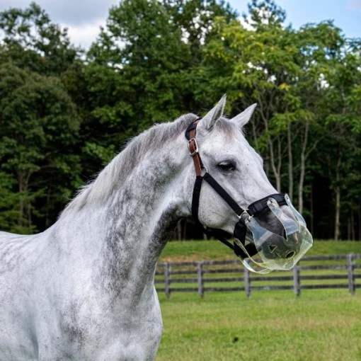 Flexible Filly Grazing Muzzle