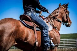 Western Saddle Pads